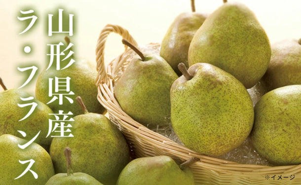 山形県産「訳ありラフランス」約5kg（玉数おまかせ)）のお得通販