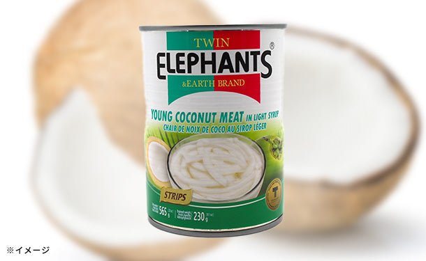 TWIN ELEPHANTS「ココナッツミート（細切り）」3缶