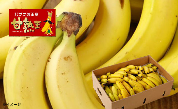 フィリピン産「業務用 訳あり甘熟王バナナ」約15kg（70～85本）