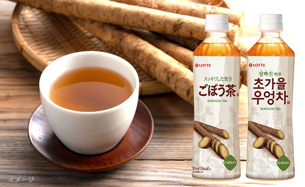 LOTTE「ごぼう茶 ペットボトル」500ml×48本の通販｜Kuradashiで 