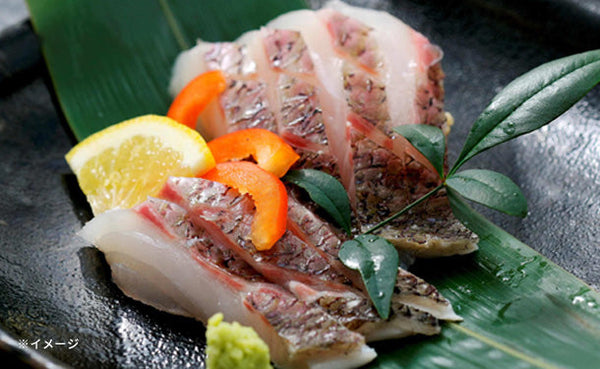 沼津産「マダイこぶ締め」