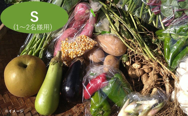 「千葉県産 野菜ボックス Sサイズ（1〜2名分）」