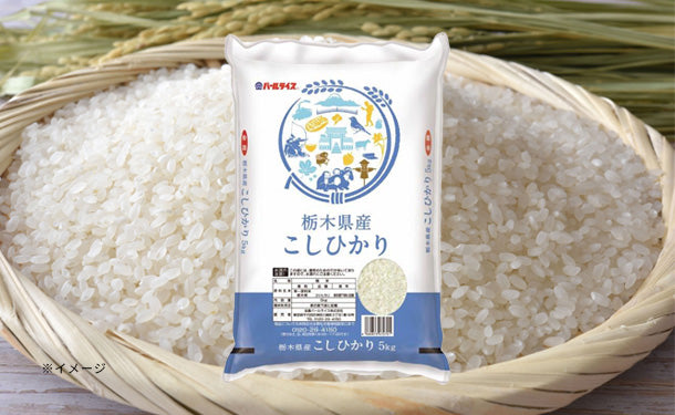 全農パールライス「栃木県産コシヒカリ」5kg×4袋