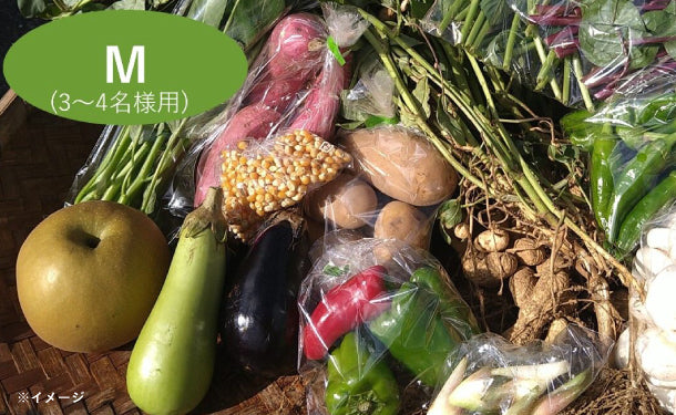 「千葉県産 野菜ボックス Mサイズ（3〜4名分）」
