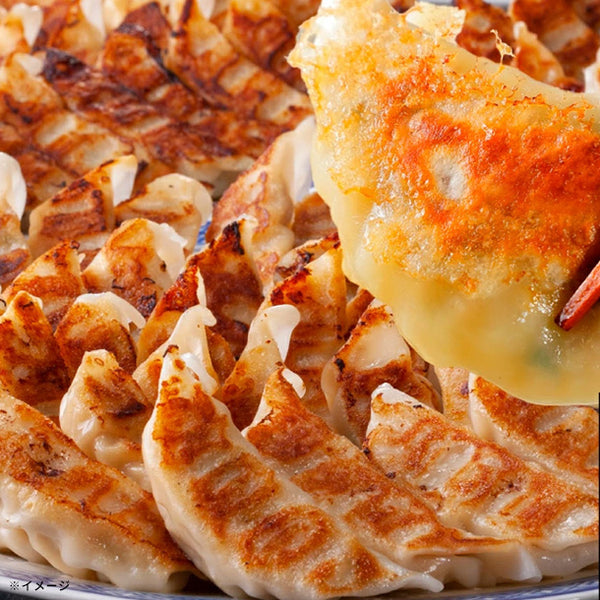 「餃子大和 人気餃子4種 食べ比べセット」