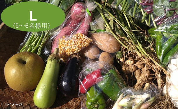 「千葉県産 野菜ボックス Lサイズ（5～6名分）」