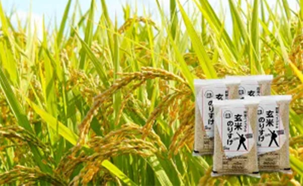 「玄米のりすけ」5kg×4袋