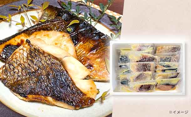 島根県産「魚3種の味噌漬けセット（鯛・鰤・鯖）」各100g×6個