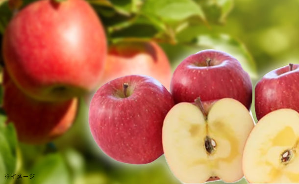 山形県産「訳ありりんご」約10kg（28～56玉）のお得通販｜Kuradashi