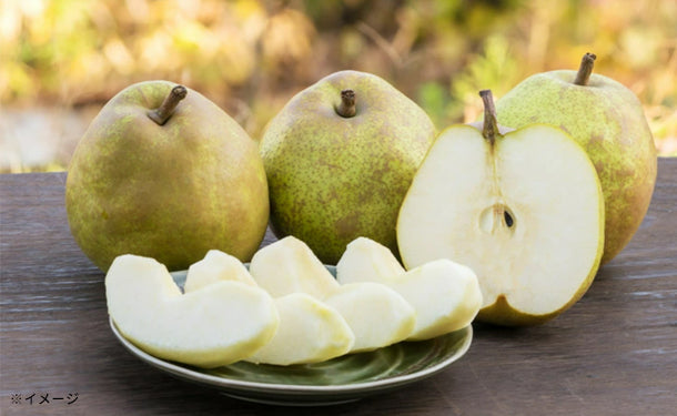 山形県産「訳ありラフランス」約5kg（玉数おまかせ)）のお得通販
