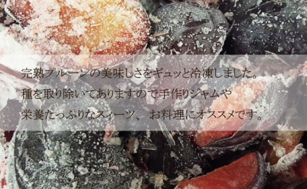 北海道産「訳あり冷凍プルーン（種あり）」500g×2パック