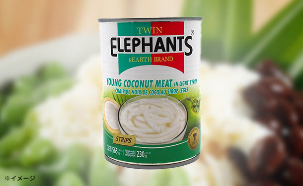 TWIN ELEPHANTS「ココナッツミート（細切り）」のお得通販｜Kuradashi