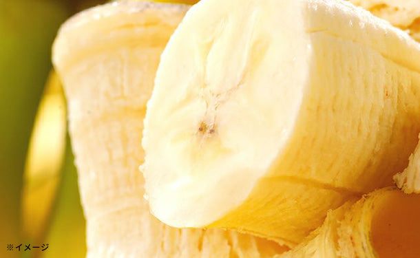 業務用 訳あり甘熟王バナナ」約15kgのお得通販｜Kuradashi(クラダシ)で