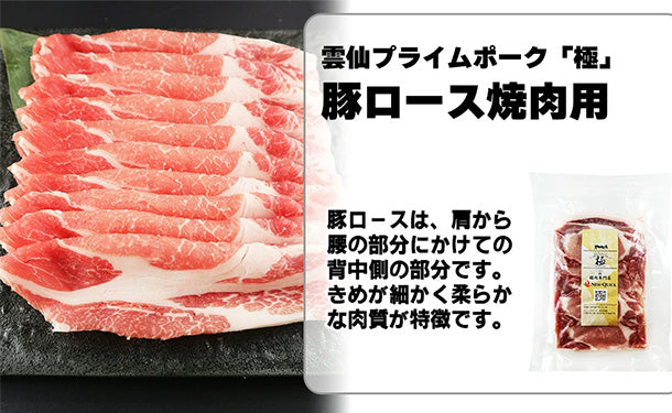 「雲仙きわみ豚 ロース 生姜焼き・焼肉用」200g×10袋