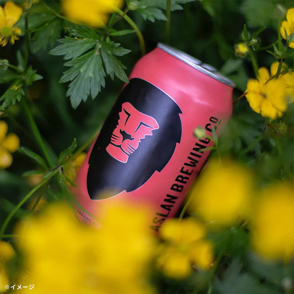 Aslan Brewing「Cosmic Dreams Organic Hazy IPA」