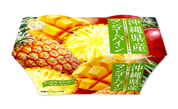 黄金の果実「沖縄県産マンゴー＆パイン（2個入）」12セット