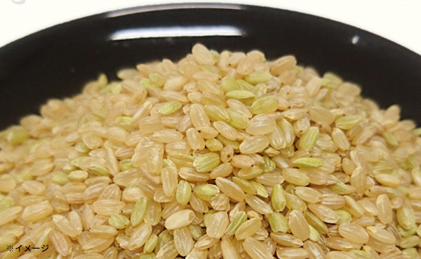 「玄米のりすけ」30kg