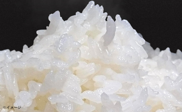 山形県産「雪若丸 普通精米」5kgのお得通販｜Kuradashi(クラダシ