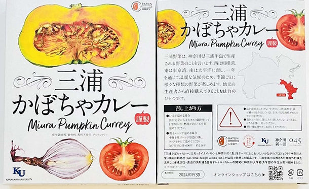 「三浦かぼちゃカレー 10食セット」