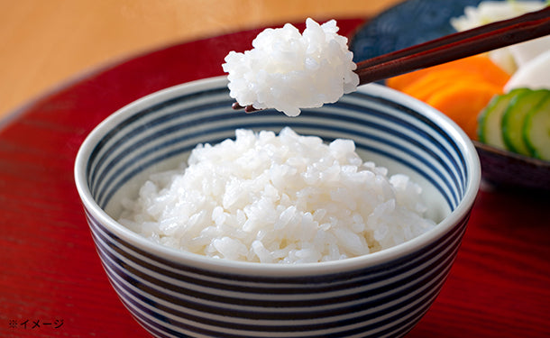 令和４年産　特別栽培米　一等級米きぬむすめ　岡山県北部産　玄米１０kg