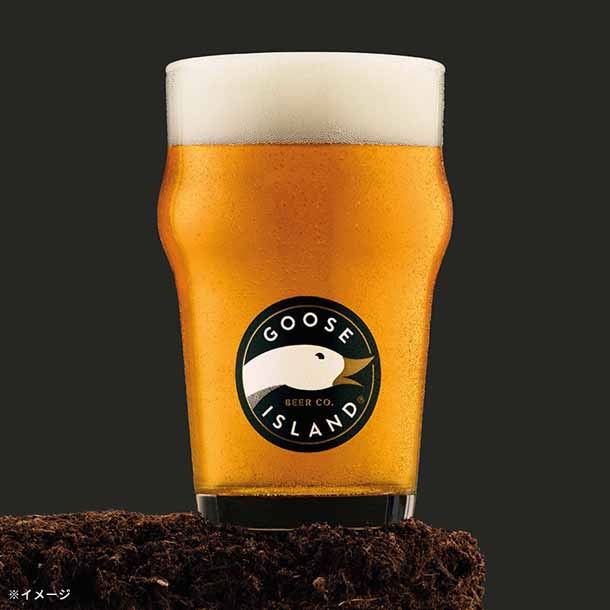 グースアイランド ダックダックグース Session IPA」330mlのお得通販
