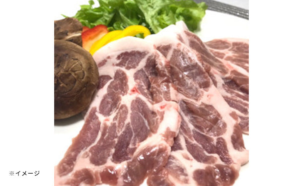 静岡県産「幻の赤豚（デュロック種）焼き肉2種セット」のお得通販