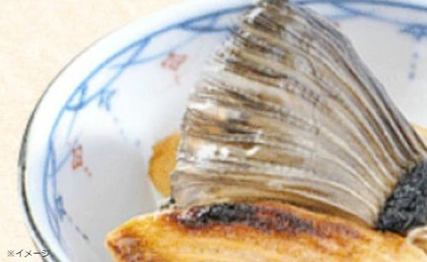 「とらふぐ刺し  青海 化粧箱入」