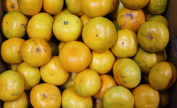 main03_33_bf475ddd-7398-4e9a-