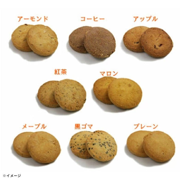 「スタンドフラワーとお試しトリプルクッキー イエロー」