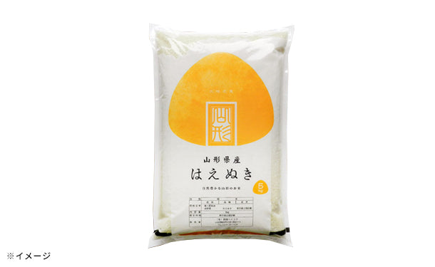 山形県産「はえぬき 無洗米」5kg×4袋