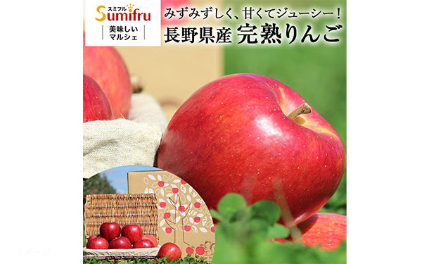 長野県産「訳あり　りんご（サンふじ）」約5kgの通販｜Kuradashiでフードロス・食品ロス削減！