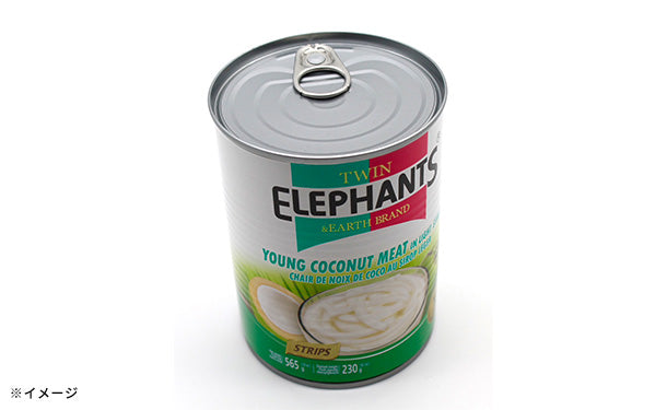 TWIN ELEPHANTS「ココナッツミート（細切り）」3缶