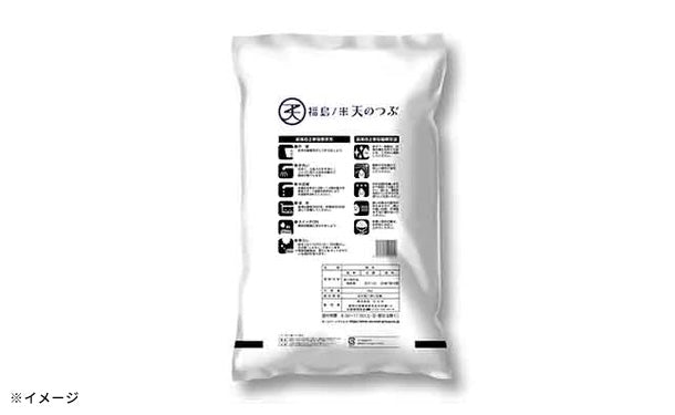 【精米】令和６年度 福島県産天のつぶ 10キロ 天のつぶ 米 お米 白米10kg 小分け対応 5kg×2袋 令和7年産 福島県中
