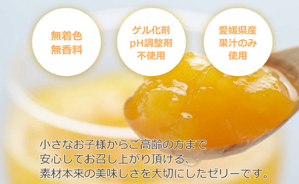 愛媛県産「みかんゼリー 温州みかん」