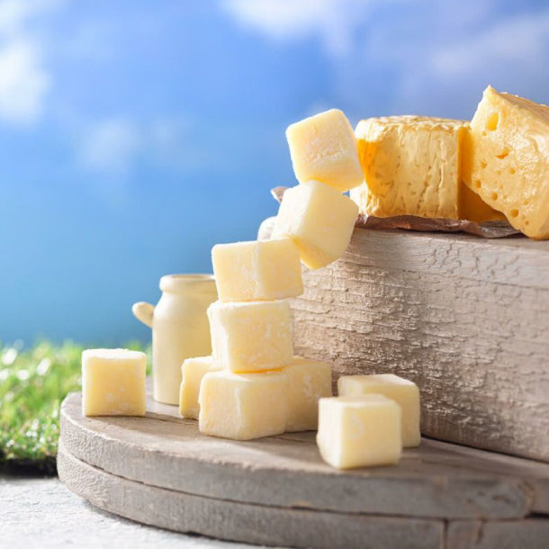 シルスマリア「北海道チーズ生チョコレート」20粒のお得通販