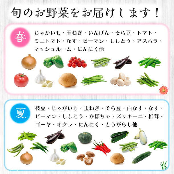 旬の房総野菜詰め合わせ」60サイズ箱セットのお得通販｜Kuradashi