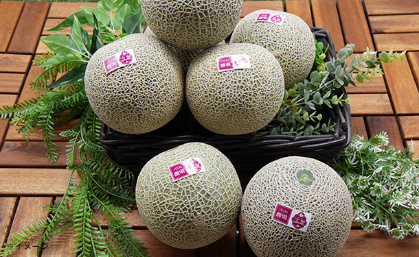 北海道三笠市産「赤肉メロン」3～5玉（約3.5kg）【クラチャレふるさと