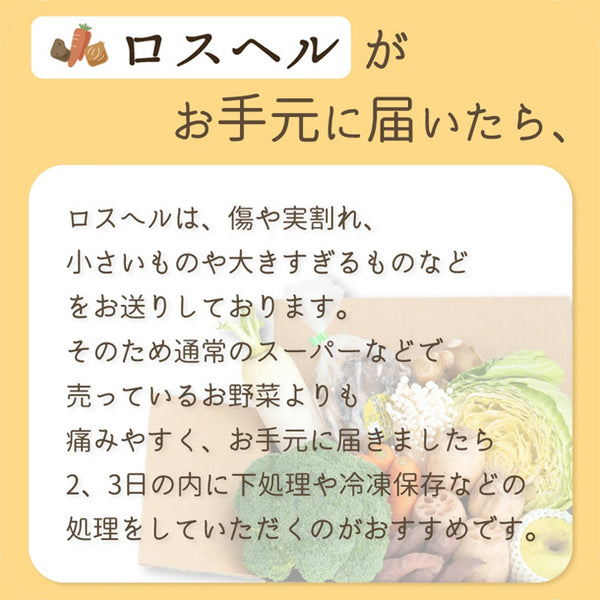 「ロスへル×Kuradashi わくわくロス野菜ボックス（L）」