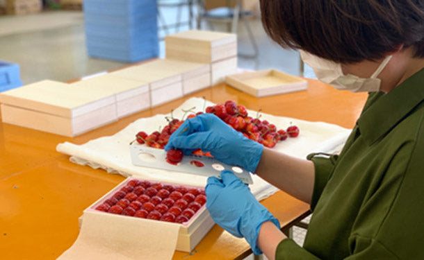 アンスリーファーム「さくらんぼ 佐藤錦 特秀品 2Lサイズ 桐箱」300gの