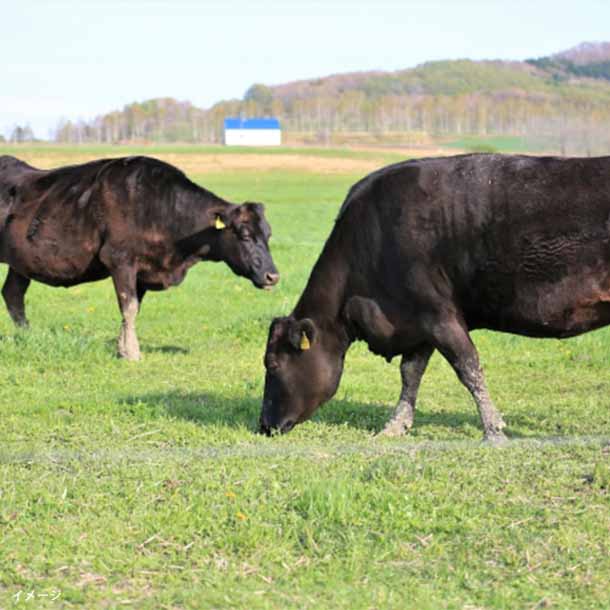 Kuradashiオリジナル】鹿児島県産 黒毛和牛 切り落し 500gのお得通販