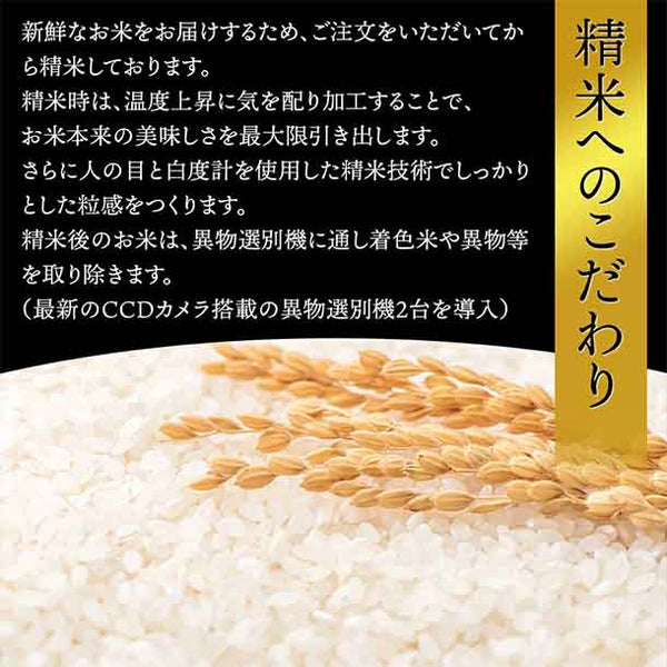 令和7年産「雪若丸」