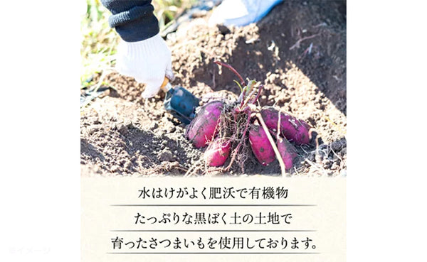 【初回限定】茨城県産「訳あり 干し芋」