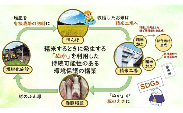 全農パールライス「無洗米茨城県産ミルキークイーン」