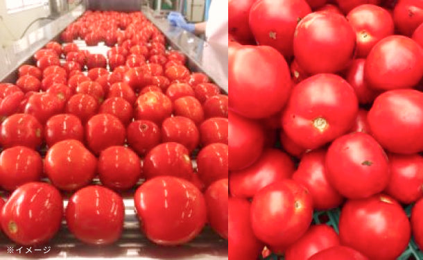 毎日がとまと曜日「ストレートトマトジュース＆濃縮トマトジュース」150g×各10袋