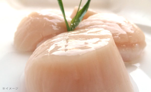 ほたて様 ❻エキスパ/ヤマト便 新光株式会社 on X: 