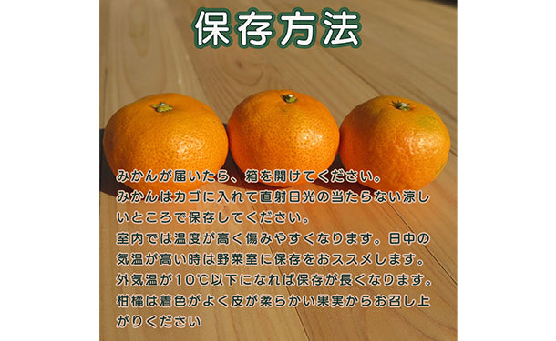 愛媛県産「秀品みかん まどんな（愛果28号）」約3kg（10～15玉）