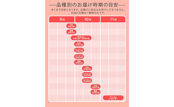 山形県産「訳ありりんご」約10kg（28～56玉）
