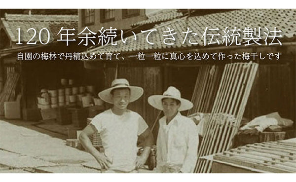 「紀州南高梅 つぶれ梅 Lサイズ しそ味（塩分8%）」