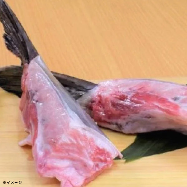 Kuradashi限定「訳ありマグロ福袋（中トロ入り） 3種」