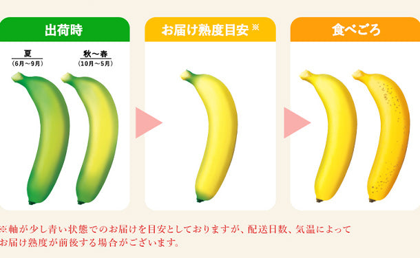 スミフル「甘熟王バナナ（規格外）」25～30本（約5kg）の通販｜Kuradashiでフードロス・食品ロス削減！